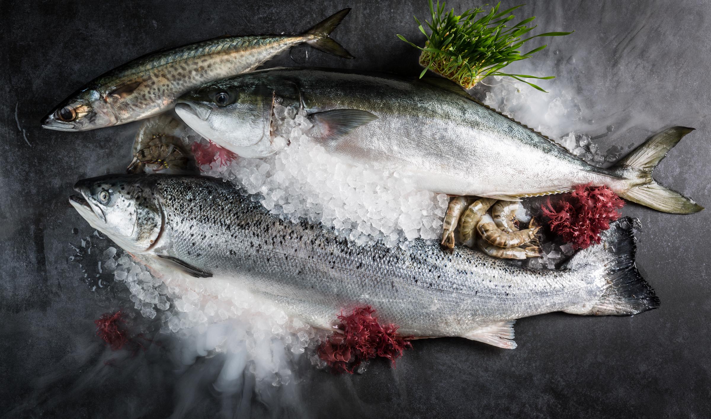 KirchgasserPhotography PokeYouHamburg Foodfotografie 03 2400px