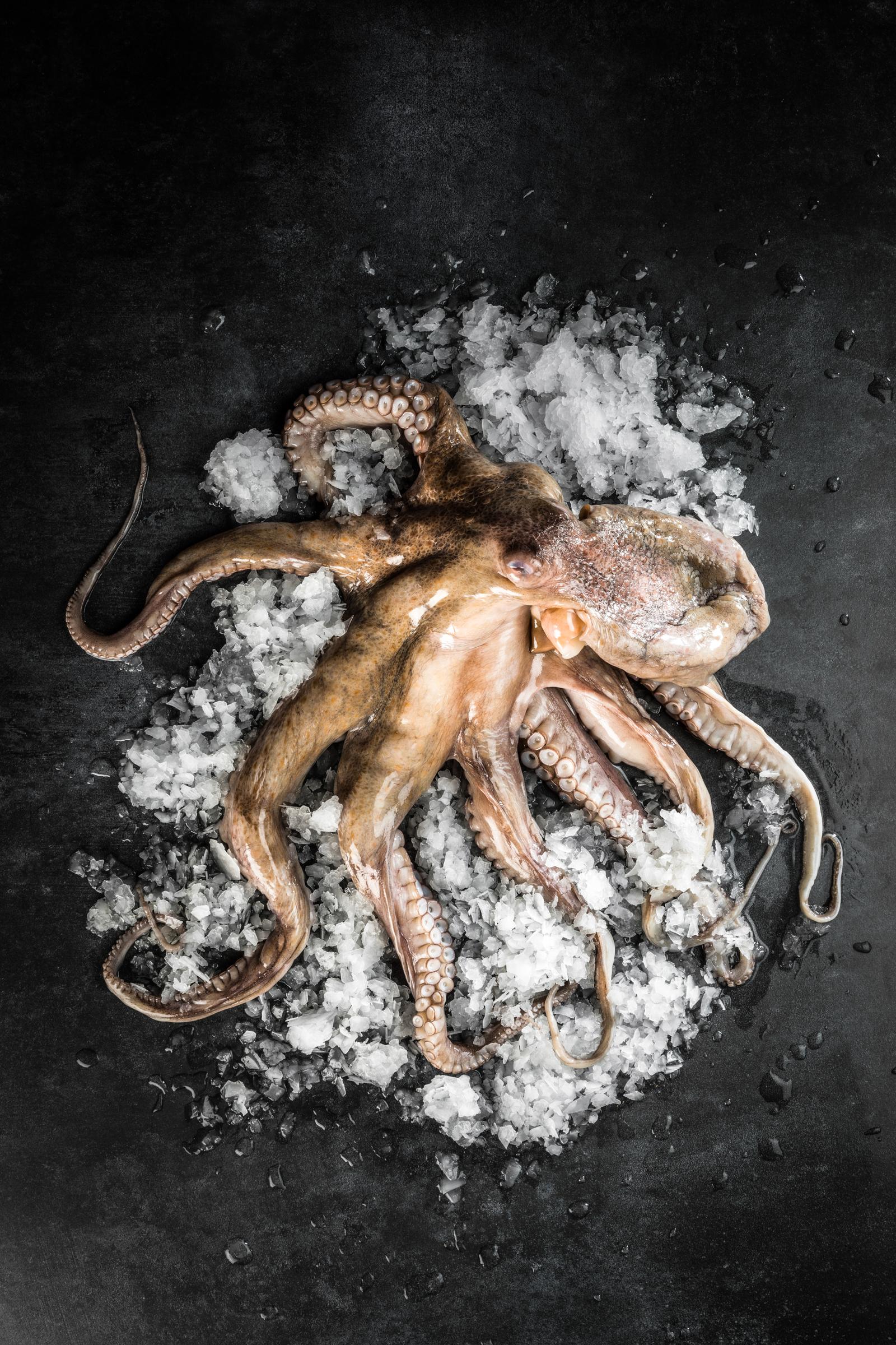 KirchgasserPhotography BeefGlory Wien Foodfotografie 04 2400px